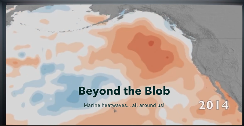 Beyond the Blob Story Map