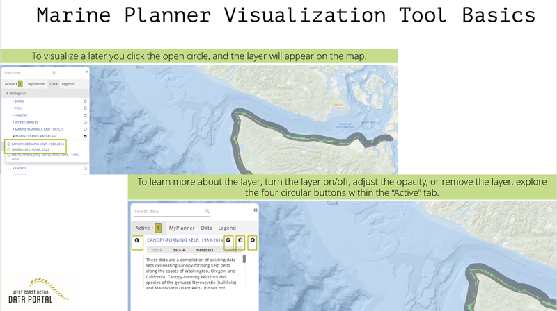 Visualization Tools Basics Part 2